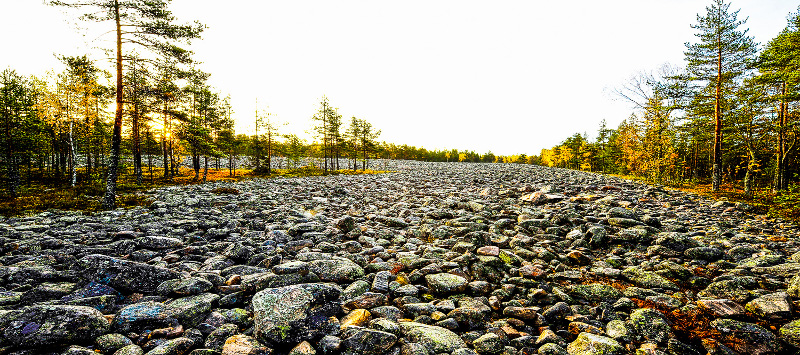 rantakivikko