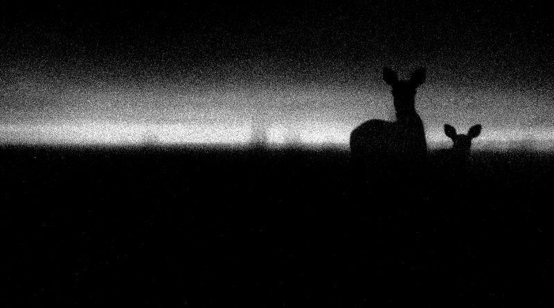 film photo