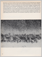 spiegelreflex 1968